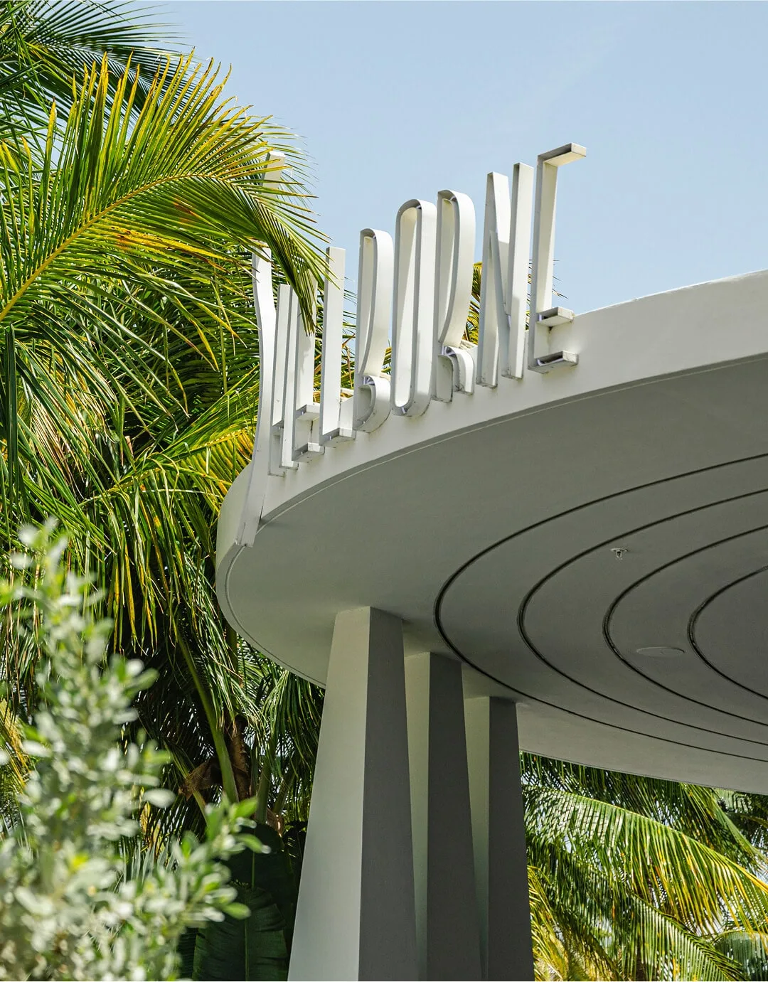 The curved white underside of the hotel's Deco tower seen from below against a clear sky, its raised lettering framed by palm fronds.